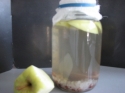 http://www.passionrecettes.com/voirRecette-Cidre-de-Kefir-aux-pommes-et-raisins-30535.html