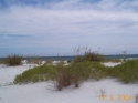 Photo prise quelques jours avant l'ouragan Ivan 2004 dans le parc Gulf National Seashore  Pensacola, Floride.