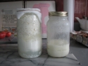 http://www.passionrecettes.com/voirRecette-Kefir-de-lait-30586.html