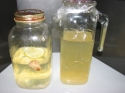 http://www.passionrecettes.com/voirRecette-Kefir-a-l-eau-Hongrie-30585.html