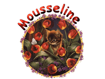 Signature Mousselinne