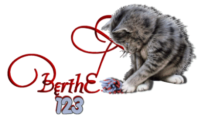 Signature Berthe123