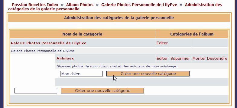 Crer Une Sous-catgorie De L''album Photo
