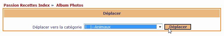 Dplacer La Photo Dans La Catgorie Appropri 2
