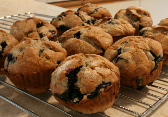 Meilleurs Muffins Aux Bleuets De Catnap