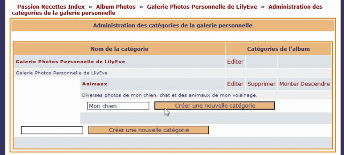 Crer Une Sous-catgorie De L''album Photo