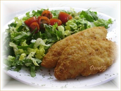 ~ Poisson Et Salade De Tomates ~