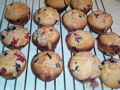 Meilleurs muffins aux bleuets de Catnap