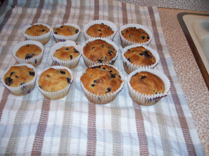 Muffins Aux Bleuets